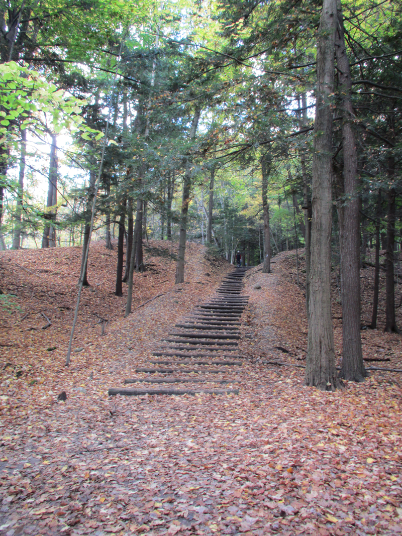 Step by step to buy house or sell house with Sun Kim